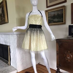 Jessica McClintock Pretty Vintage Party / Prom Dress